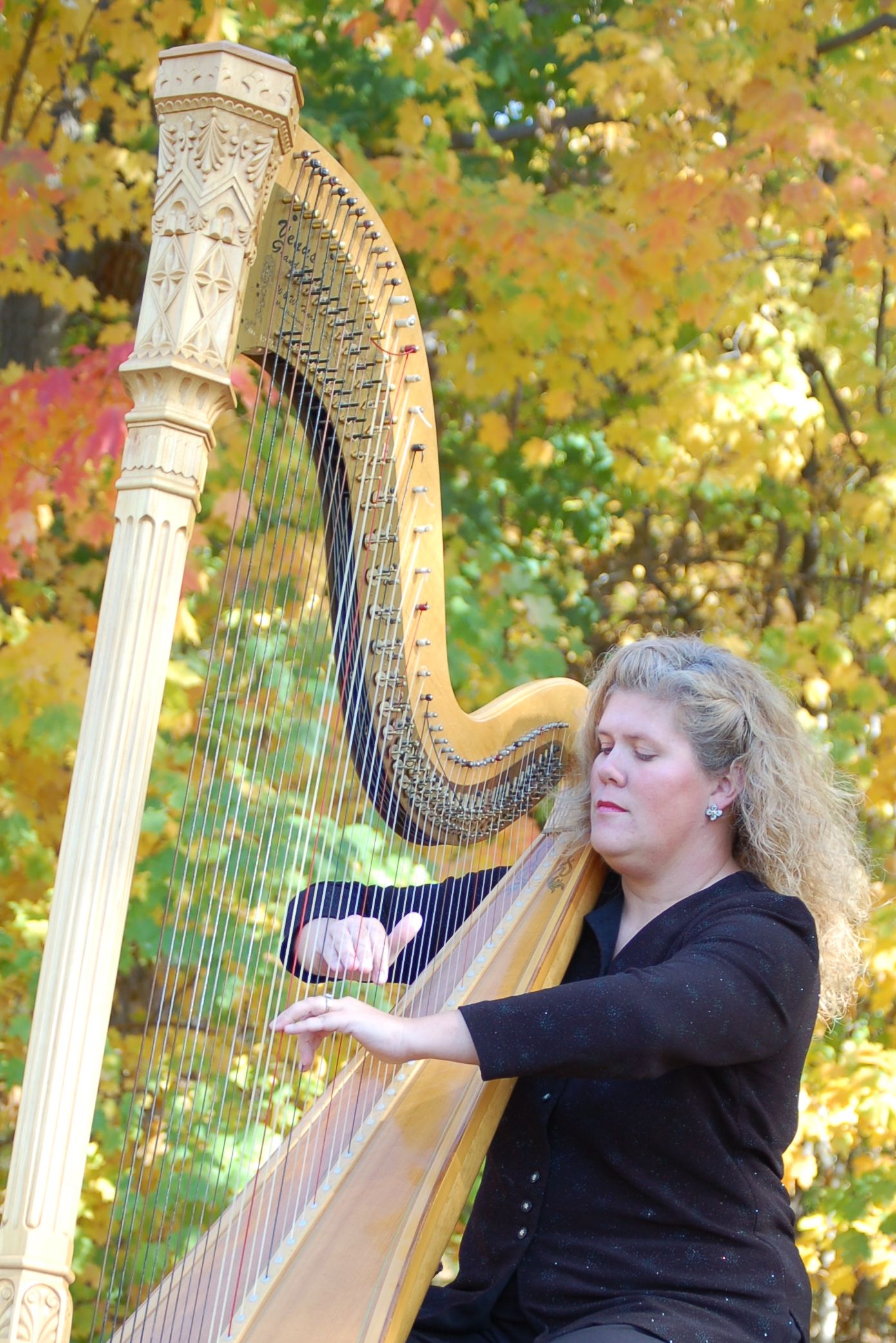 harp5.jpg